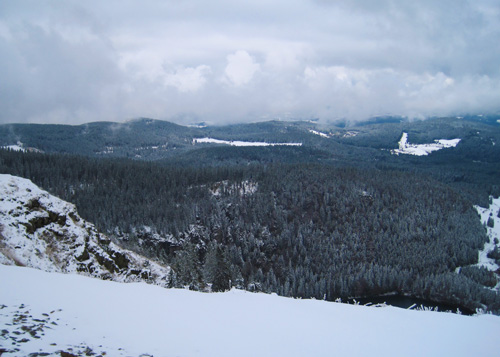 Schwarzwald im Winter